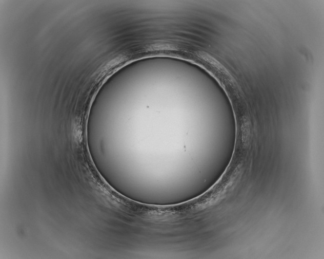 X0000113030929200908271452