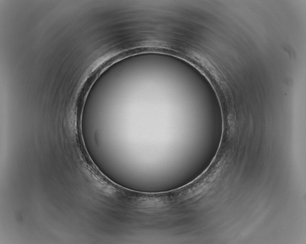 X0000113030931200908271452