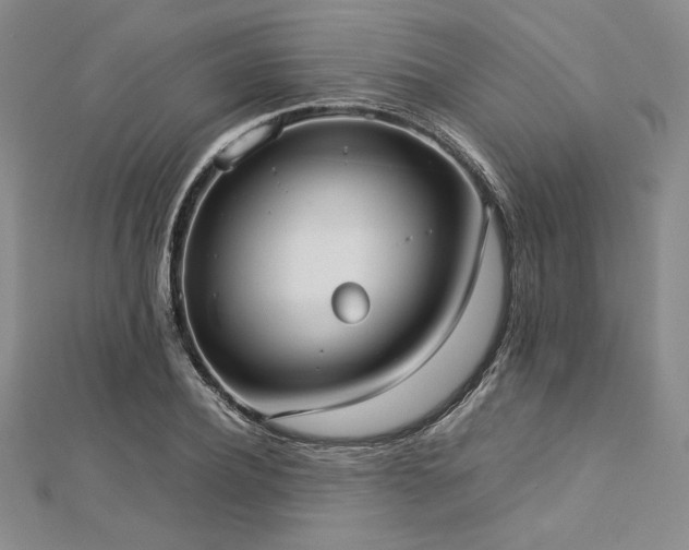 X0000113030932200908271452