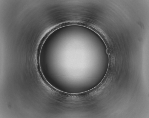 X0000113030935200908271452