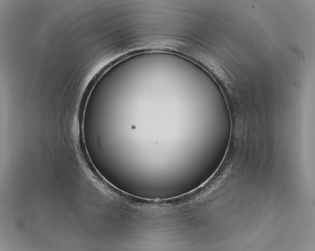 X0000113030936200908271452