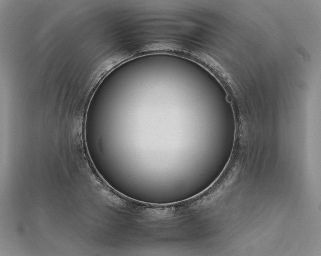 X0000113030937200908271452