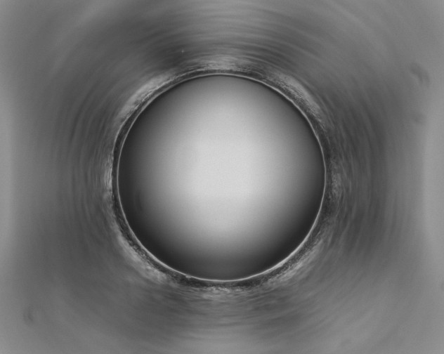 X0000113030938200908271452