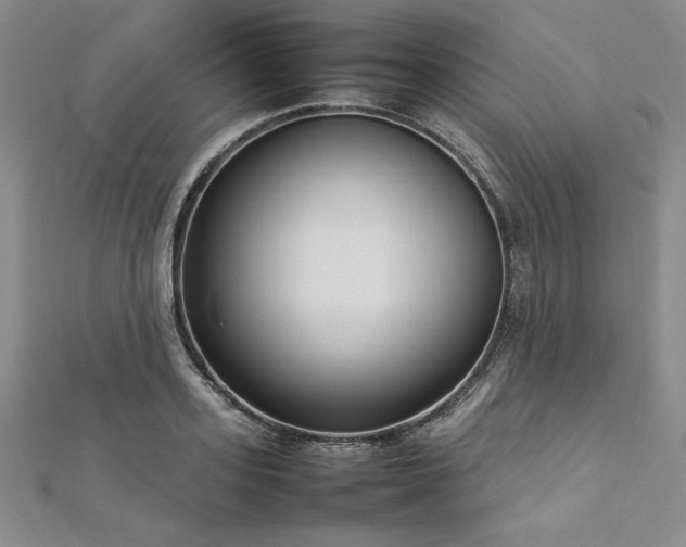 X0000113030939200908271452