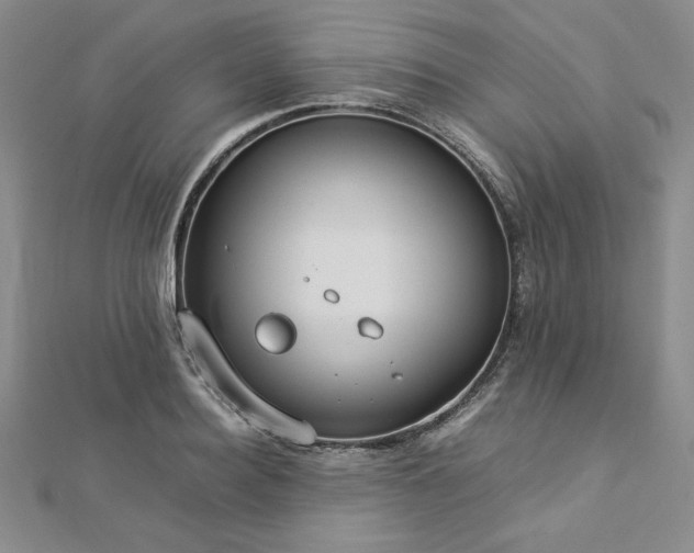 X0000113030940200908271452