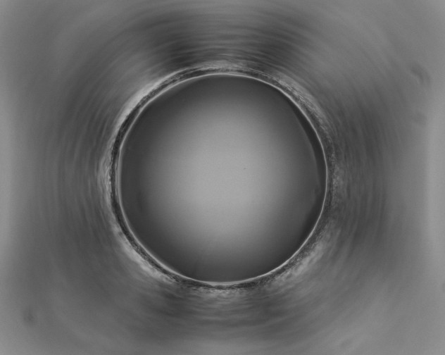 X0000113030941200908271452