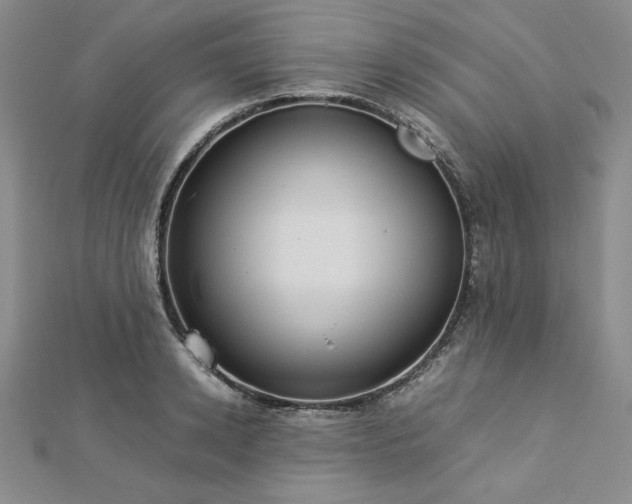 X0000113030942200908271452