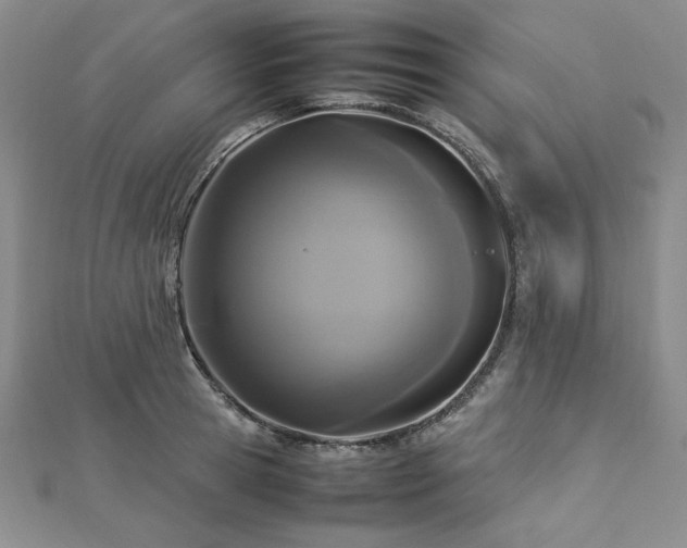 X0000113030945200908271452