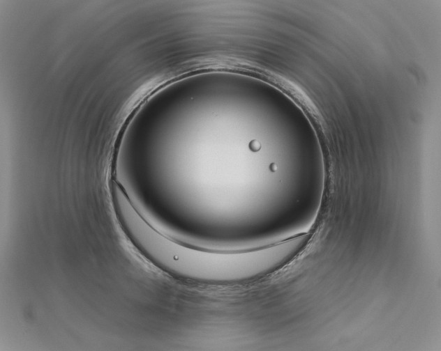 X0000113030946200908271452