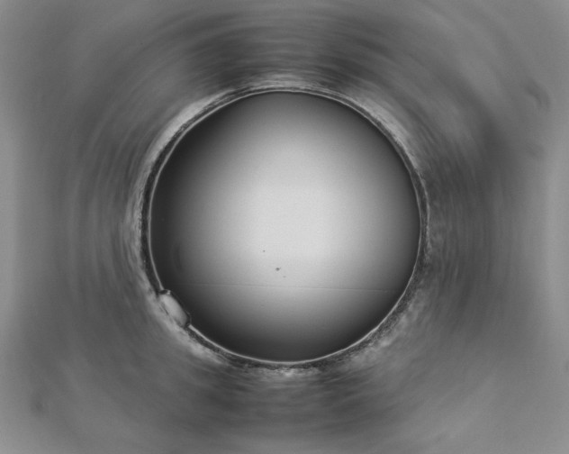 X0000113030949200908271452