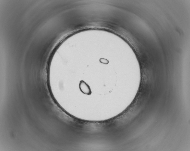 X0000113030950200908271452