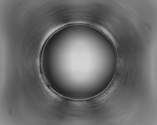 X0000113030951200908271452