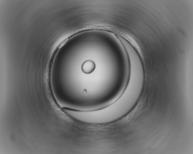 X0000113030952200908271452