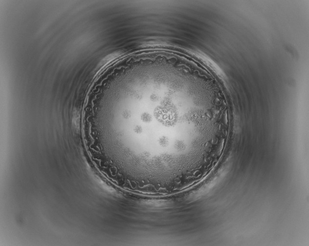 X0000113030953200908271452