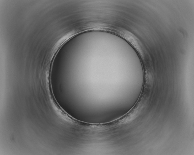 X0000113030954200908271452