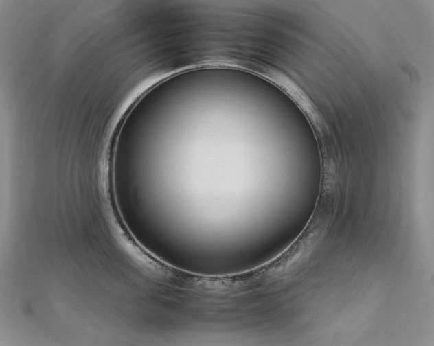 X0000113030955200908271452