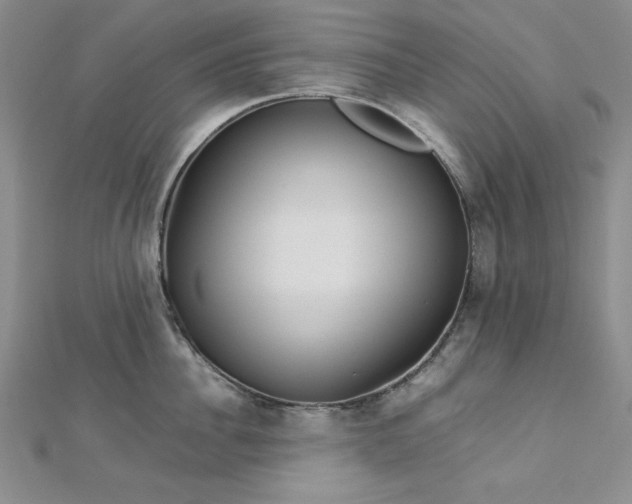 X0000113030956200908271452