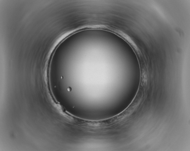 X0000113030959200908271452