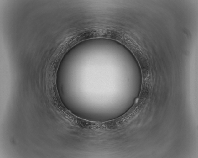 X0000113030961200908271451