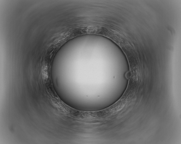 X0000113030962200908271451