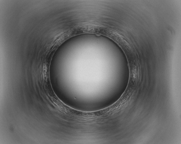 X0000113030964200908271451