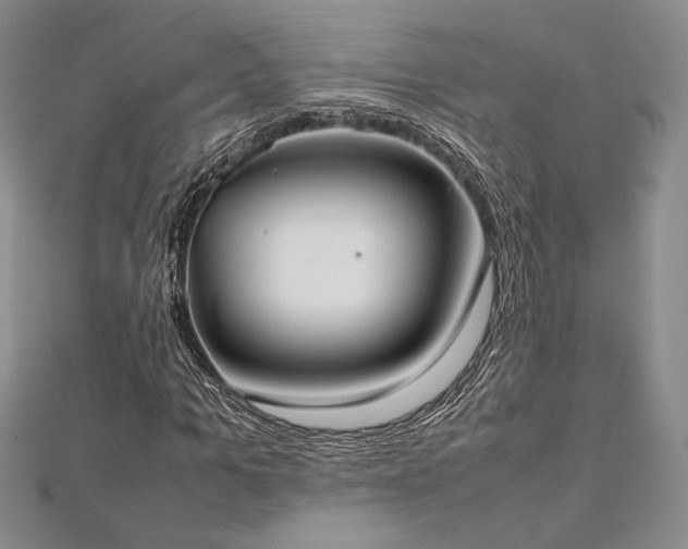 X0000113030965200908271451