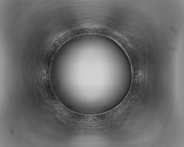 X0000113030966200908271451