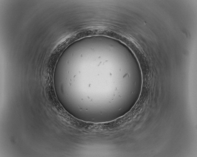 X0000113030967200908271451