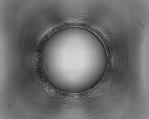 X0000113030968200908271451