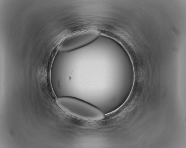 X0000113030969200908271451