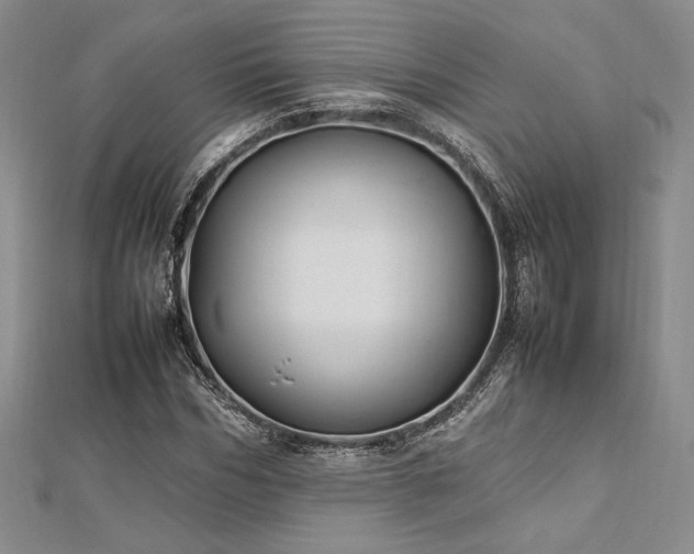 X0000113030970200908271451