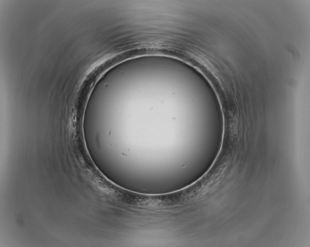 X0000113030971200908271451