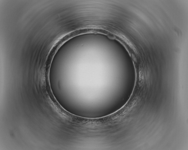 X0000113030972200908271451