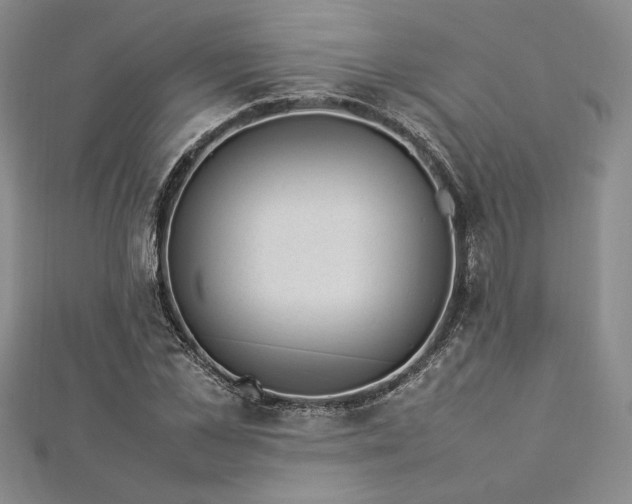 X0000113030973200908271451