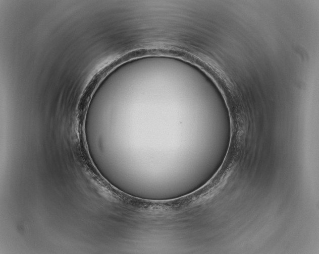 X0000113030974200908271451