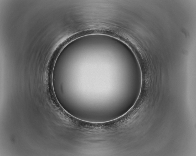 X0000113030975200908271451