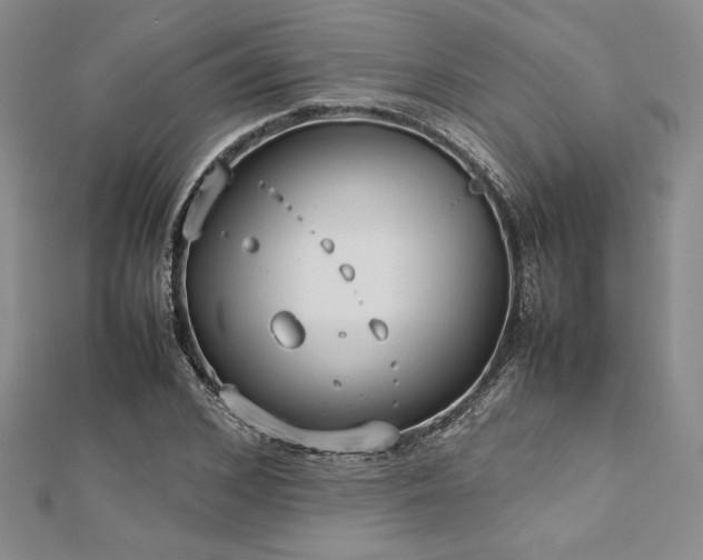 X0000113030976200908271451