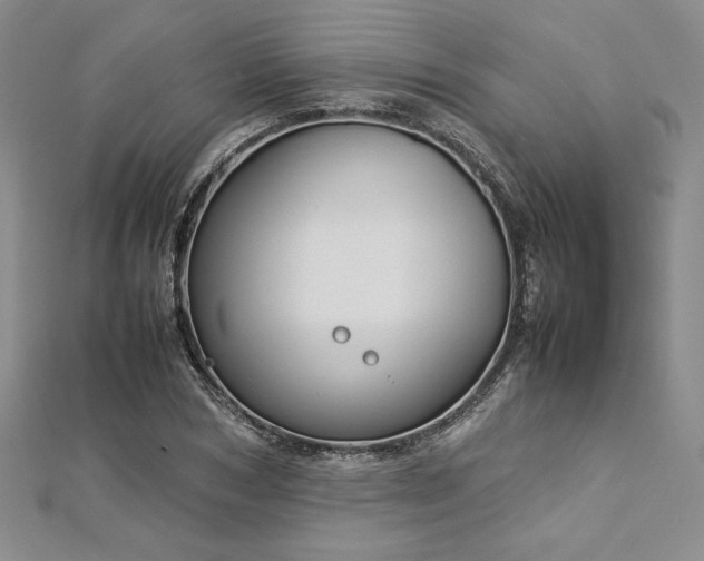 X0000113030978200908271451