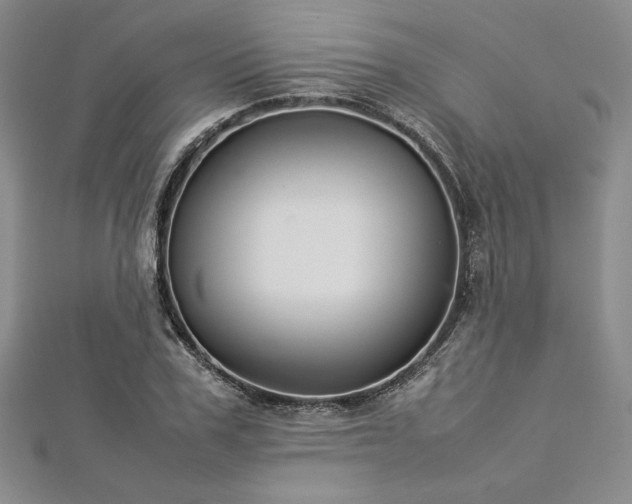 X0000113030979200908271451