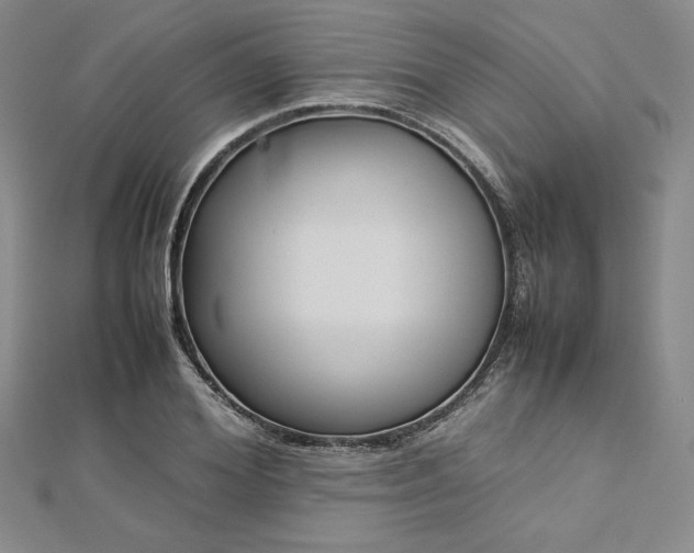 X0000113030980200908271451