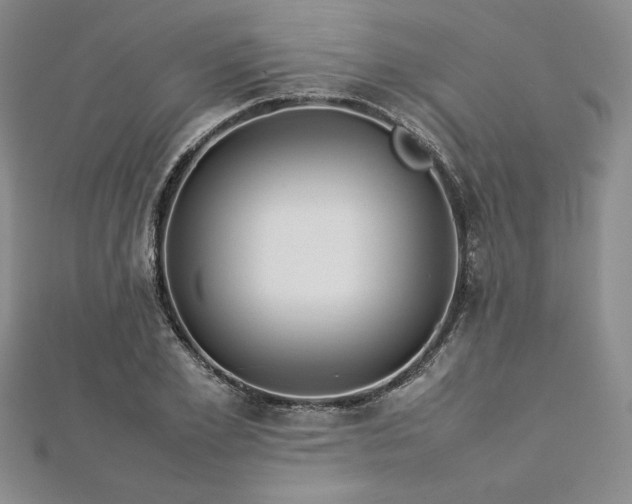 X0000113030981200908271451