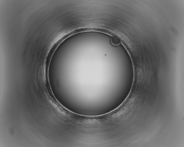 X0000113030982200908271451