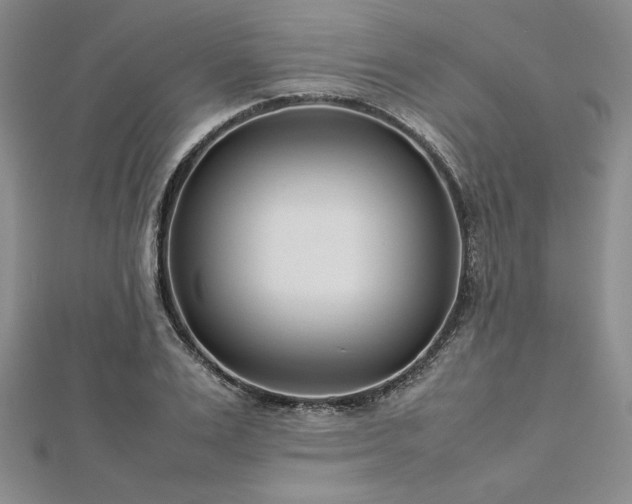 X0000113030983200908271451