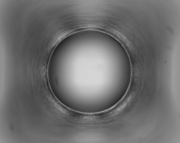 X0000113030985200908271451