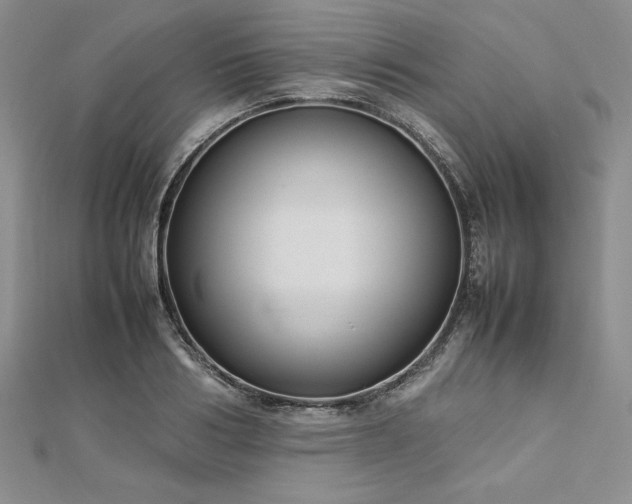 X0000113030986200908271451