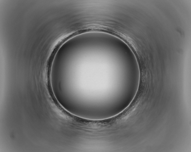 X0000113030987200908271451