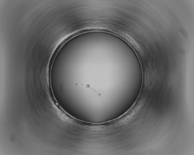 X0000113030988200908271451