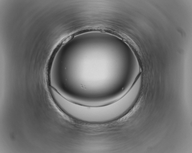 X0000113030989200908271451