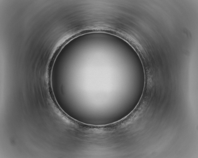 X0000113030990200908271451