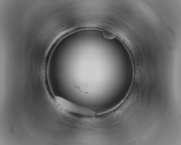 X0000113030992200908271451